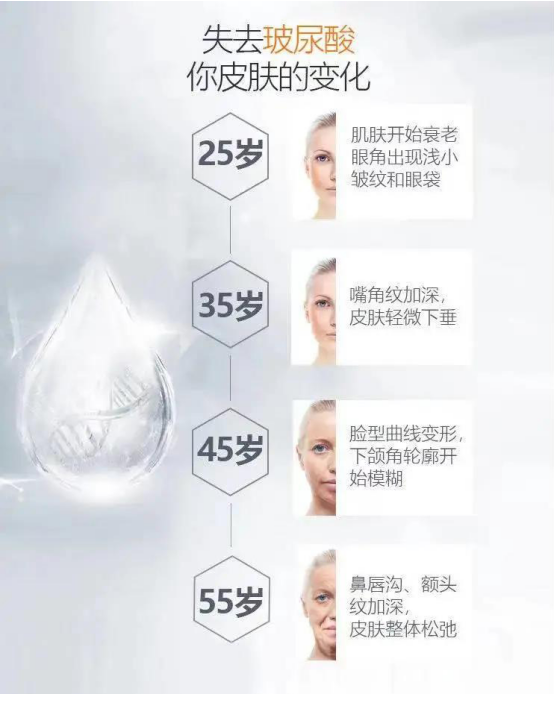 不同年龄段皮肤玻尿酸含量变化示意